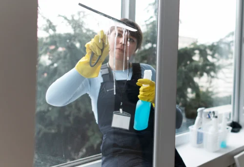 Nettoyage de vitres intérieures et extérieures à Presly